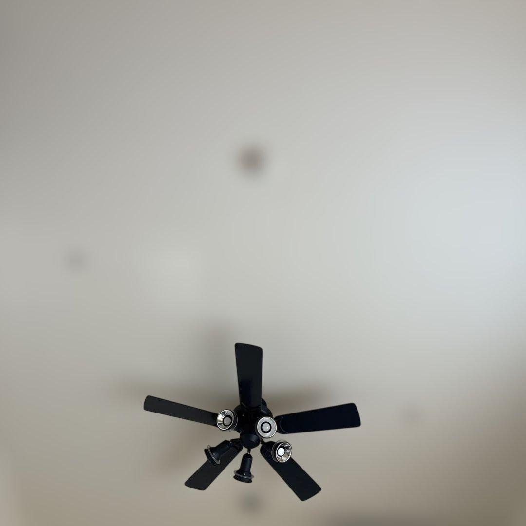 美品　レア　オーデリック　黒ファン　 元値　6万円