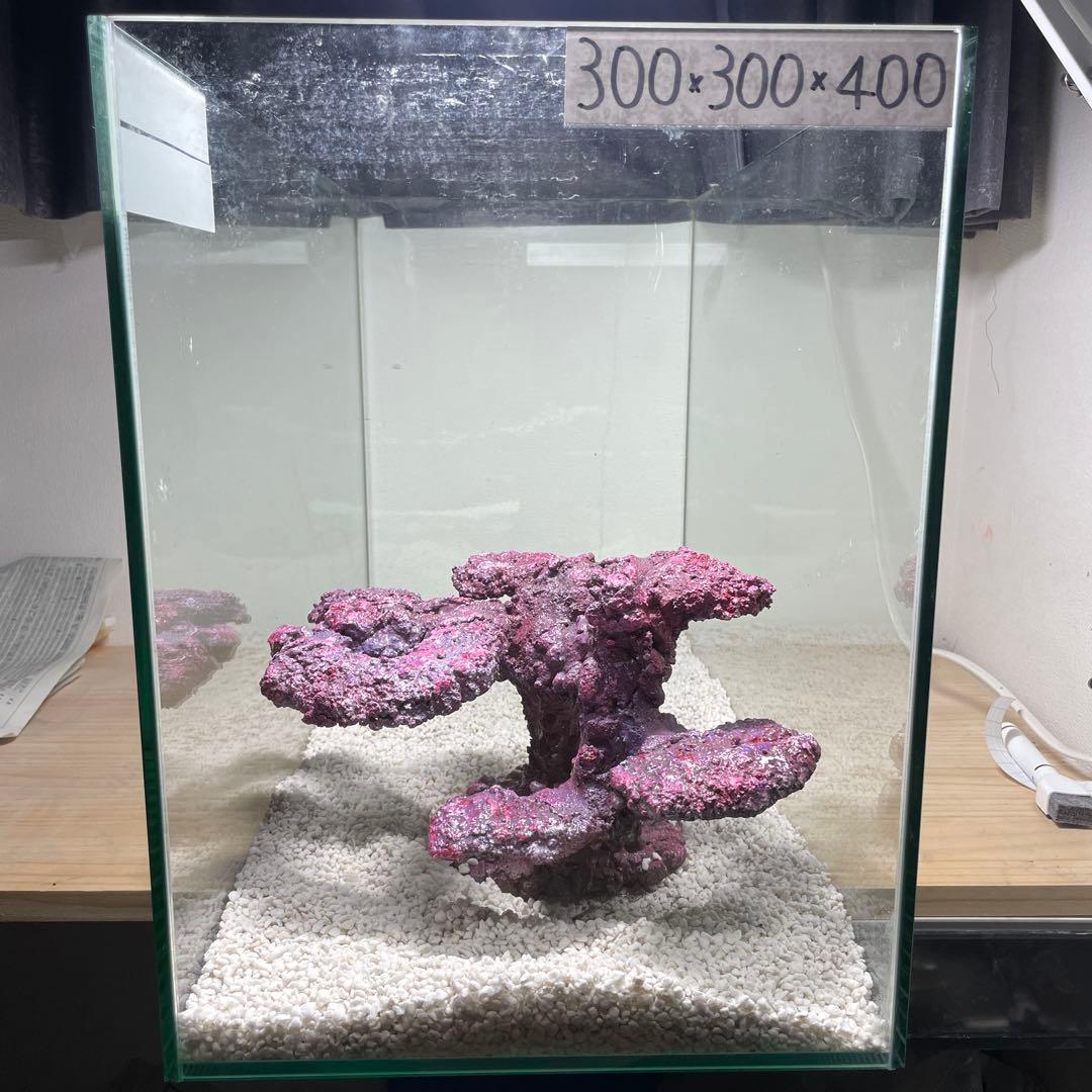 人工ライブロック　SHR23 アク抜き済み安心塗料使用