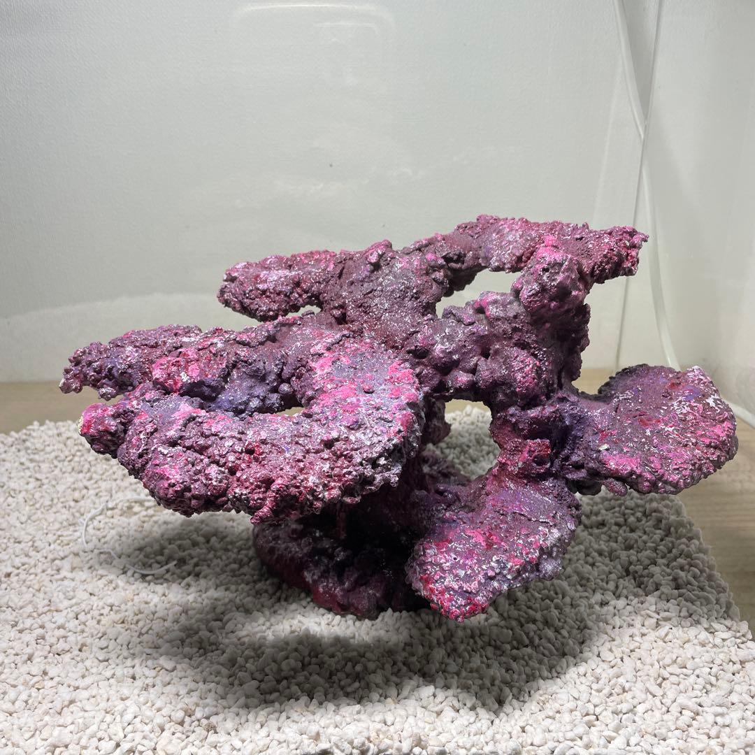 人工ライブロック　SHR23 アク抜き済み安心塗料使用