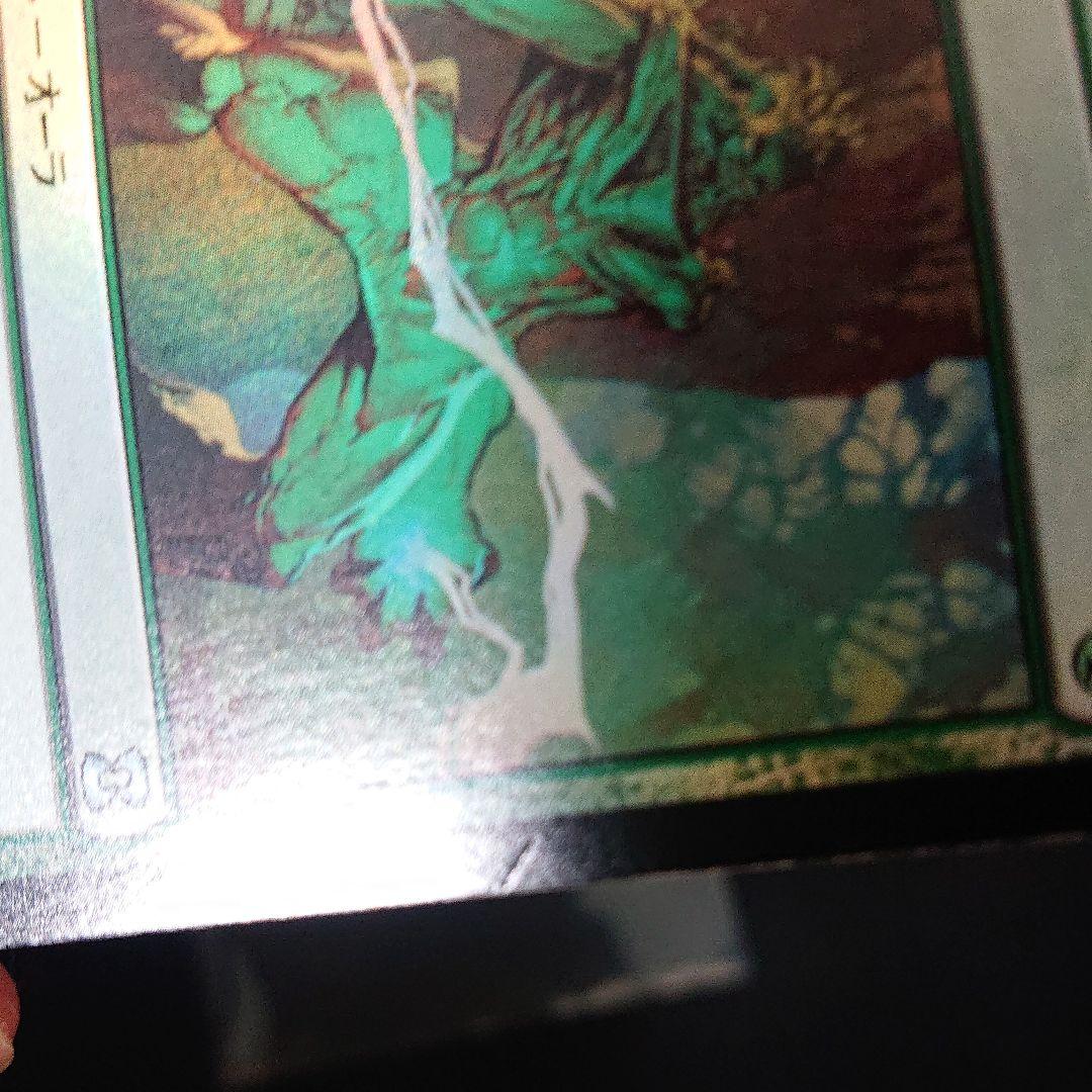 mtg 怨恨 foil エラー