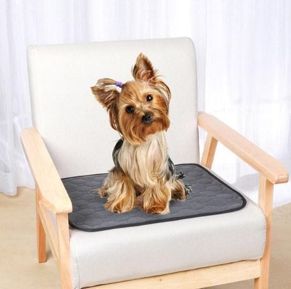 【ニホンイシガメ様】ペット用吸水マット 特大サイズ 5枚 グレー