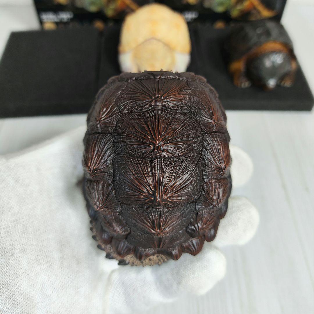 【動物の惑星】★激レア★第1弾亀廃盤品ワニガメ+カミツキガメ!! フィギュア