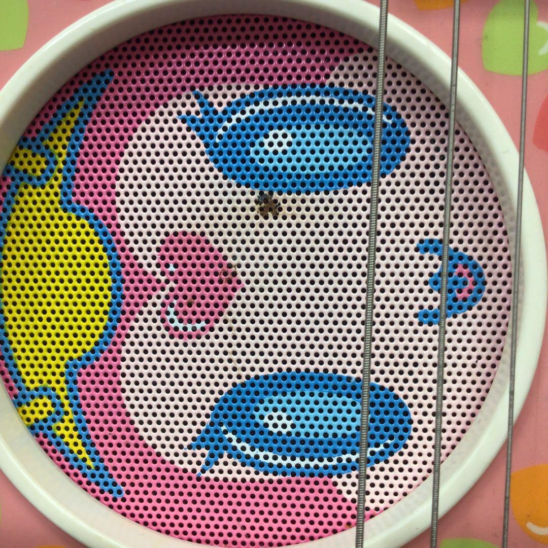 フェルナンデス　ぞうさんギター　サンリオ　あややモデル　zo-3