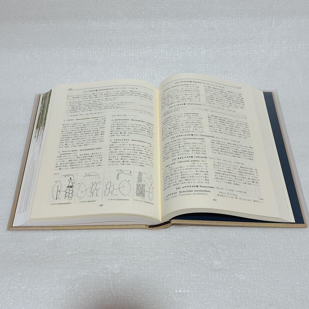 日本の野生植物 コケ 岩月善之助