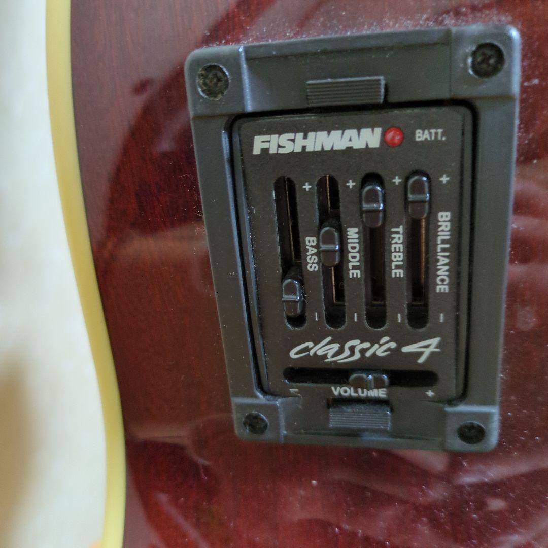 Syar 赤 アコースティックギター カッタウェイ