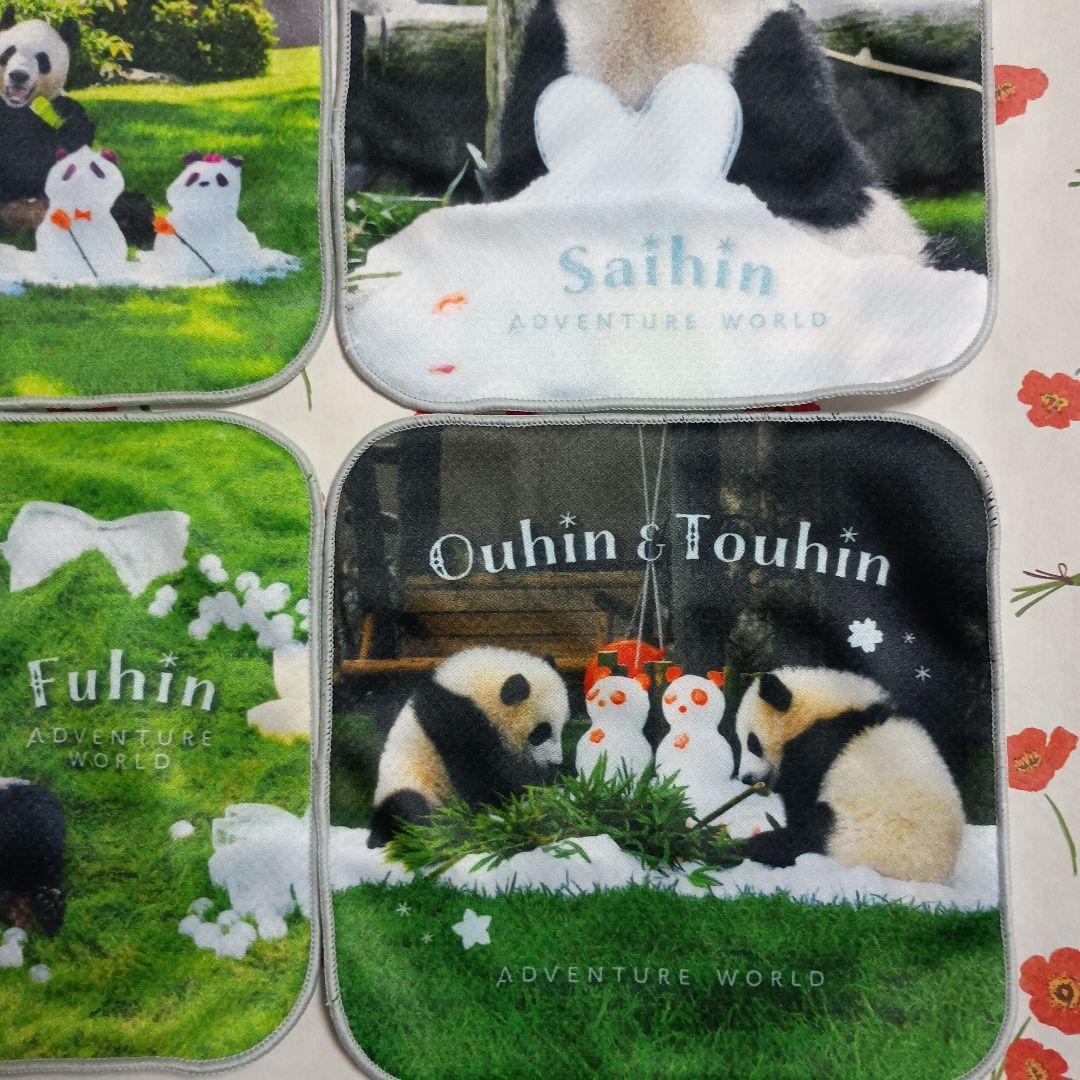 アドベンチャーワールド　先行ガチャ　パンダ ミニタオル 　6枚コンプリート