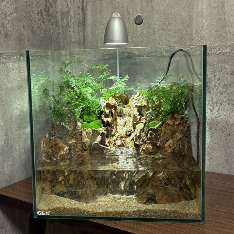 滝の流れるアクアテラリウム　No.1144