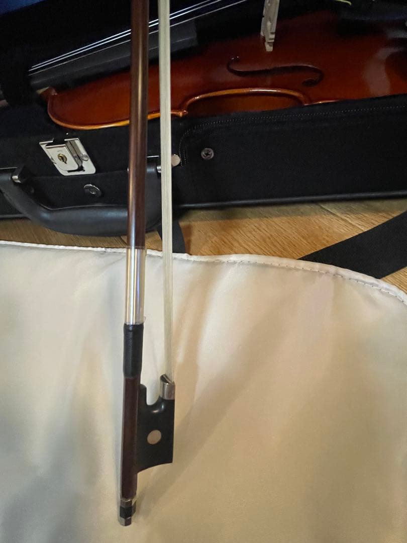 Eastman SVL80セット 4/4 バイオリン