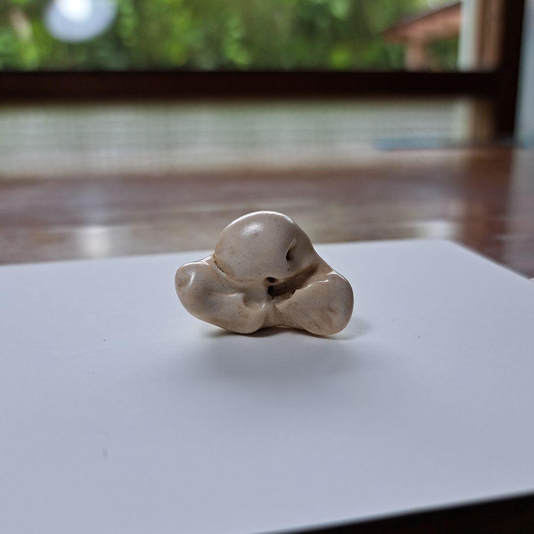 イルカの耳骨【大きさ2.8㎝】