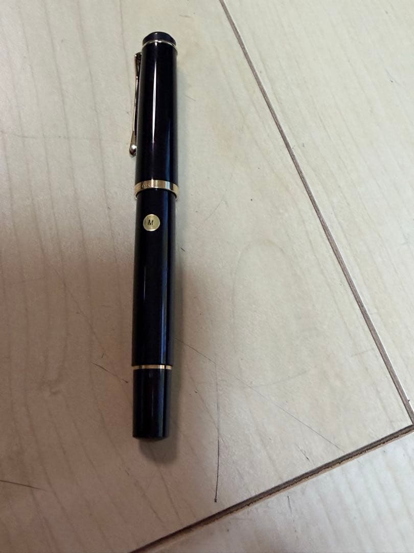 ドイツ　万年筆