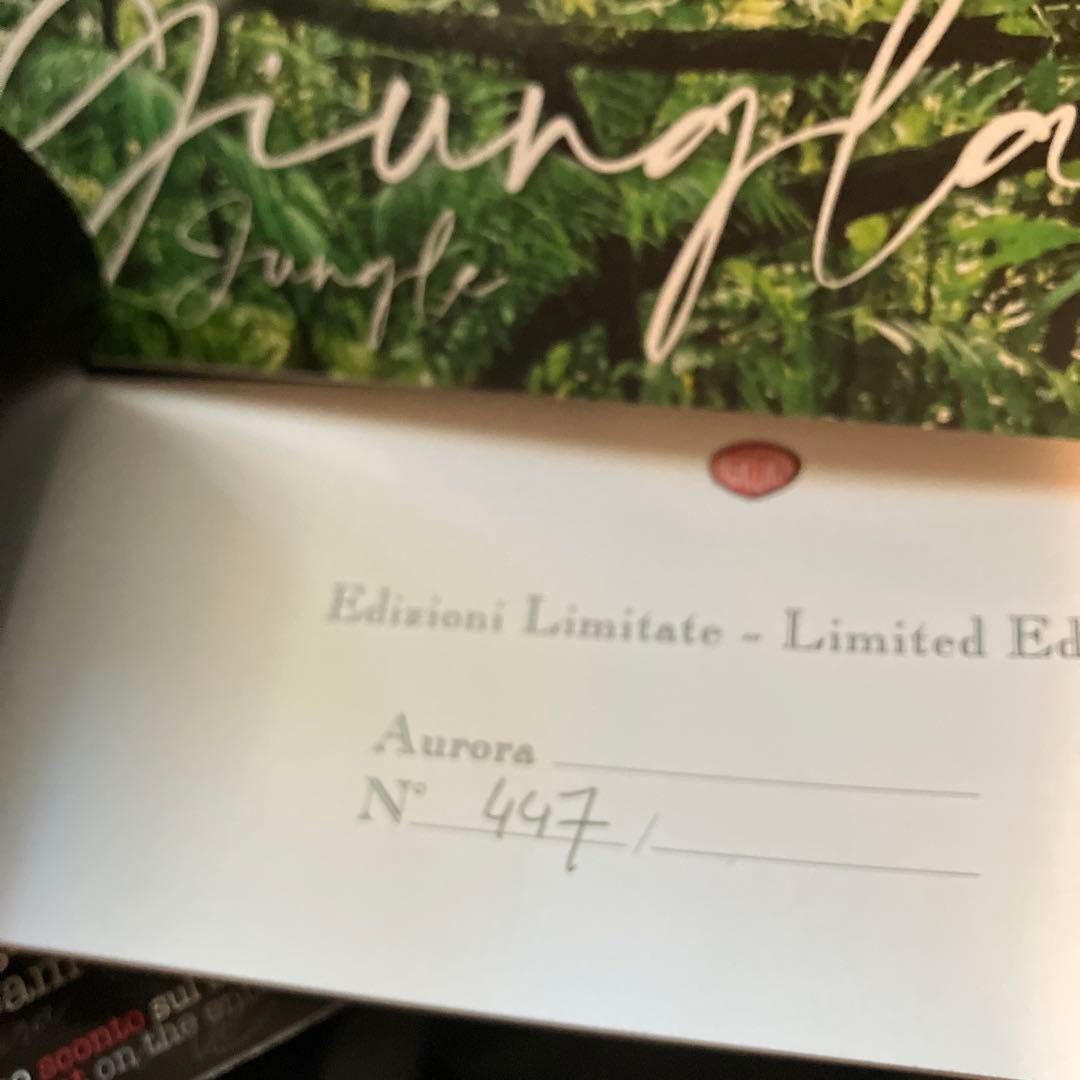 アウロラ　万年筆　ジュングラ　アンビエンテ　EF