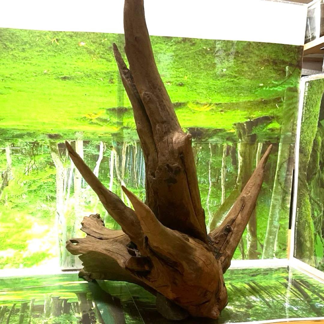 ティンバー様 リクエスト 2点 まとめ商品