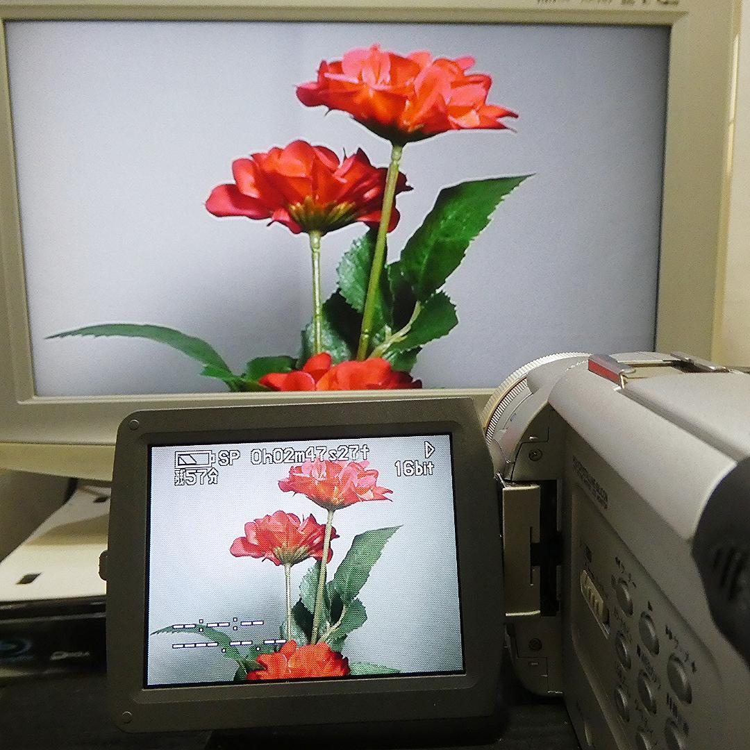 動作良好 パナソニックNV-MX5000 MiniDVビデオ DVD化に最適 !