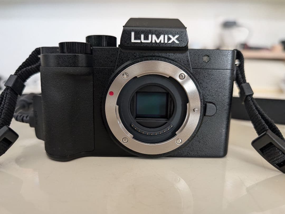 Panasonic LUMIX デジタルカメラDC-G100D ダブルフレーム