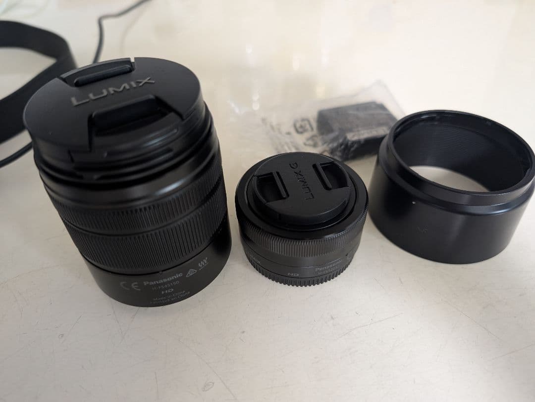 Panasonic LUMIX デジタルカメラDC-G100D ダブルフレーム