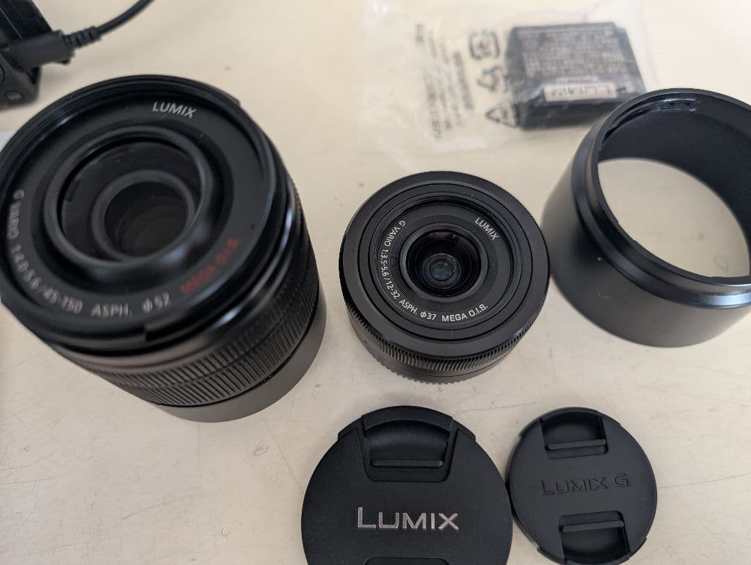 Panasonic LUMIX デジタルカメラDC-G100D ダブルフレーム