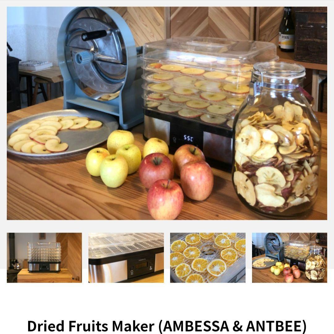 アントビー　ドライフルーツメーカー 5段　アイシング　ドライベジタブル
