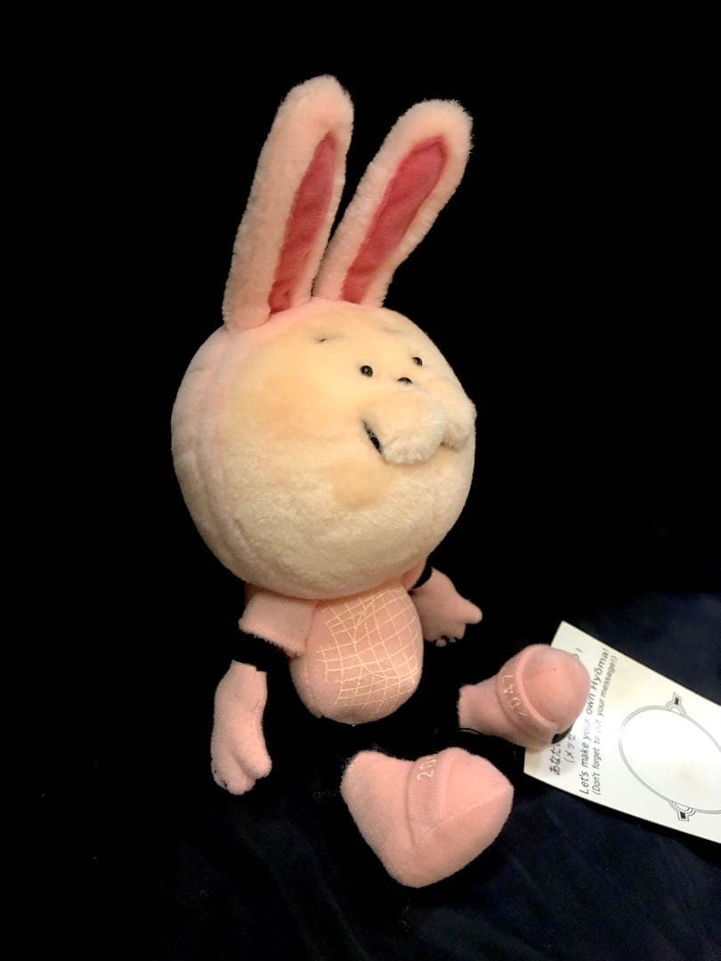 【新品激レア！入荷未定！】20471120ウサHyoma ぬいぐるみ旧タグ付き♪