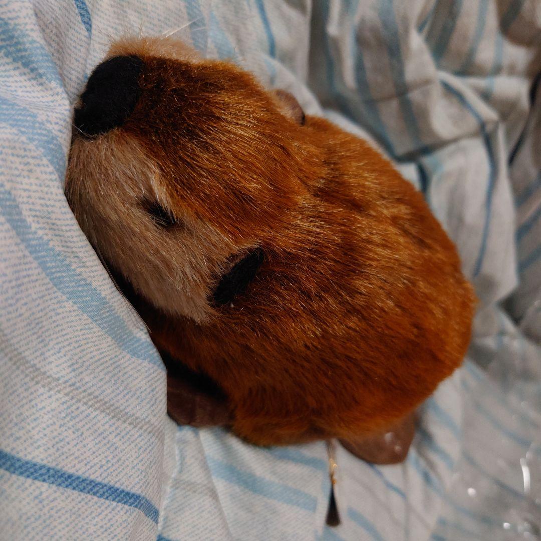 スーパービーバー ぬいぐるみ