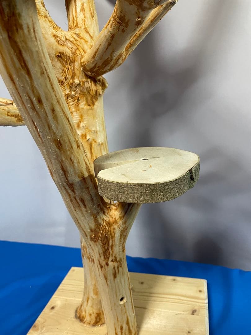 天然木白木バードジム