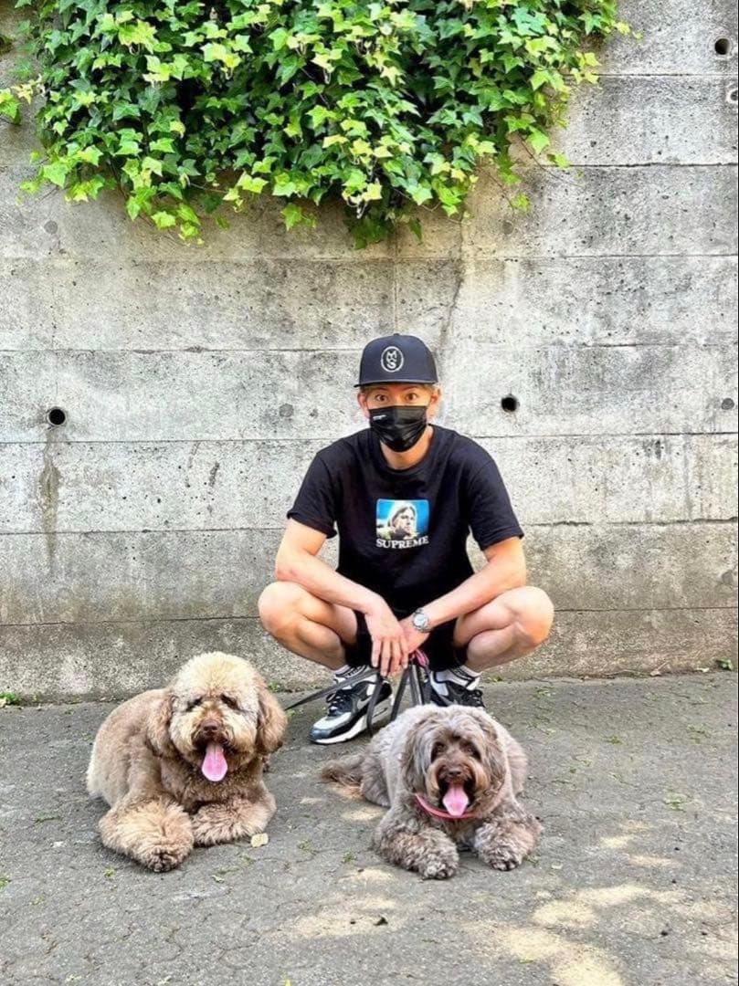 Supreme  Cobain Tee M シュプリーム カートコバーン