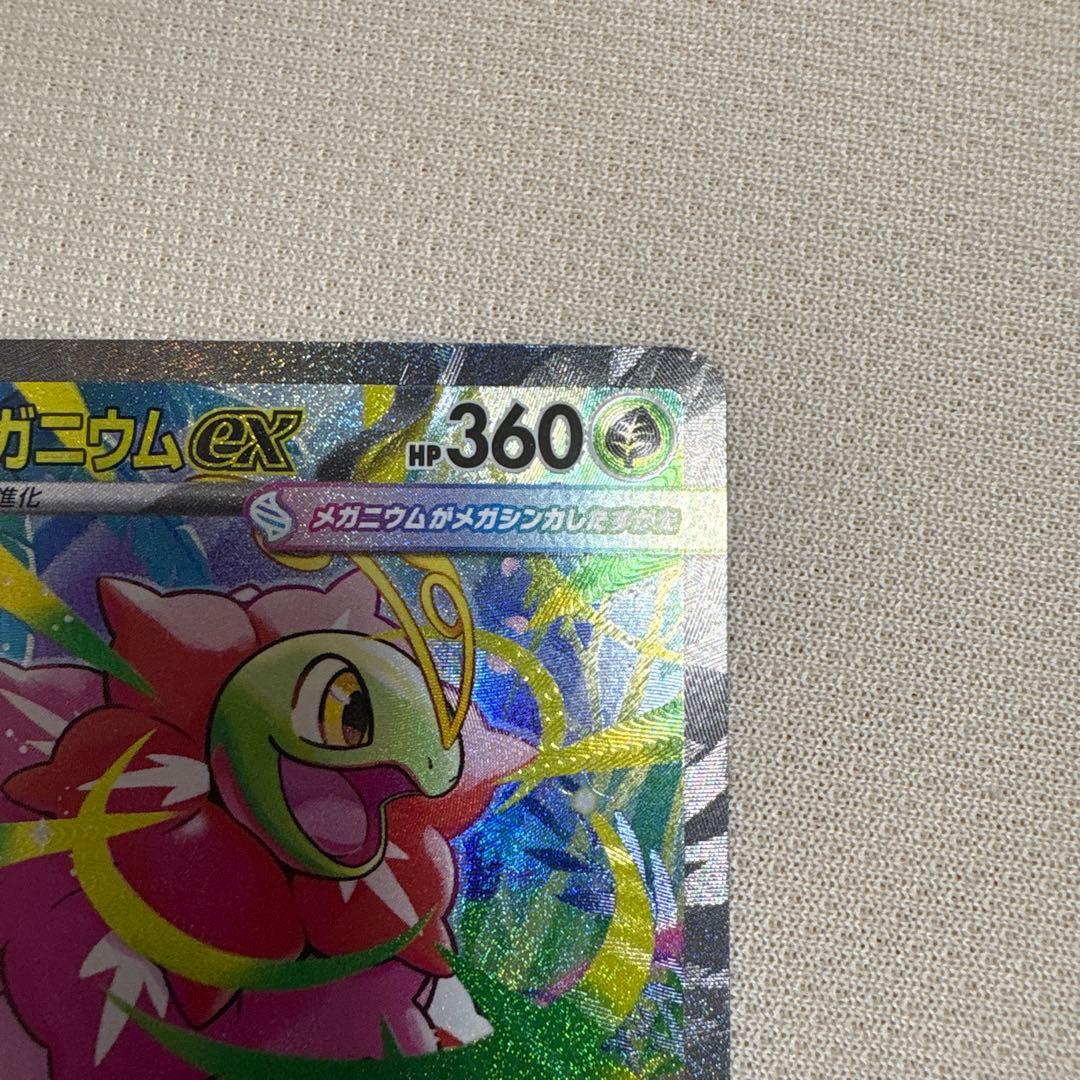 メガメガニウムes sar仕様