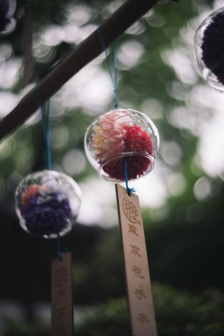 色違いの環がかかる！Leica coated Summar オールドレンズ