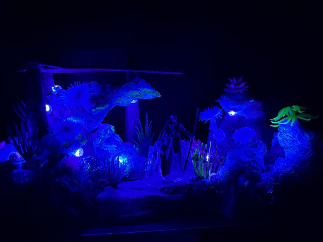 『アバター：ウェイ・オブ・ウォーター』メトカイナの岩礁＆トノワリ＆ロナル