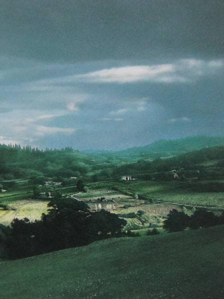 原雅幸、【モンテプルチアーノ】、希少な額装用画集より、新品額装付