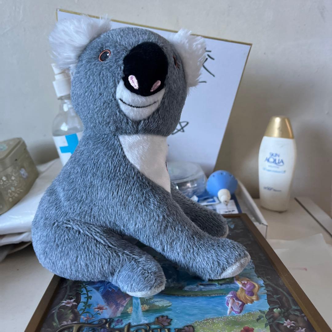 台湾コアラぬいぐるみ