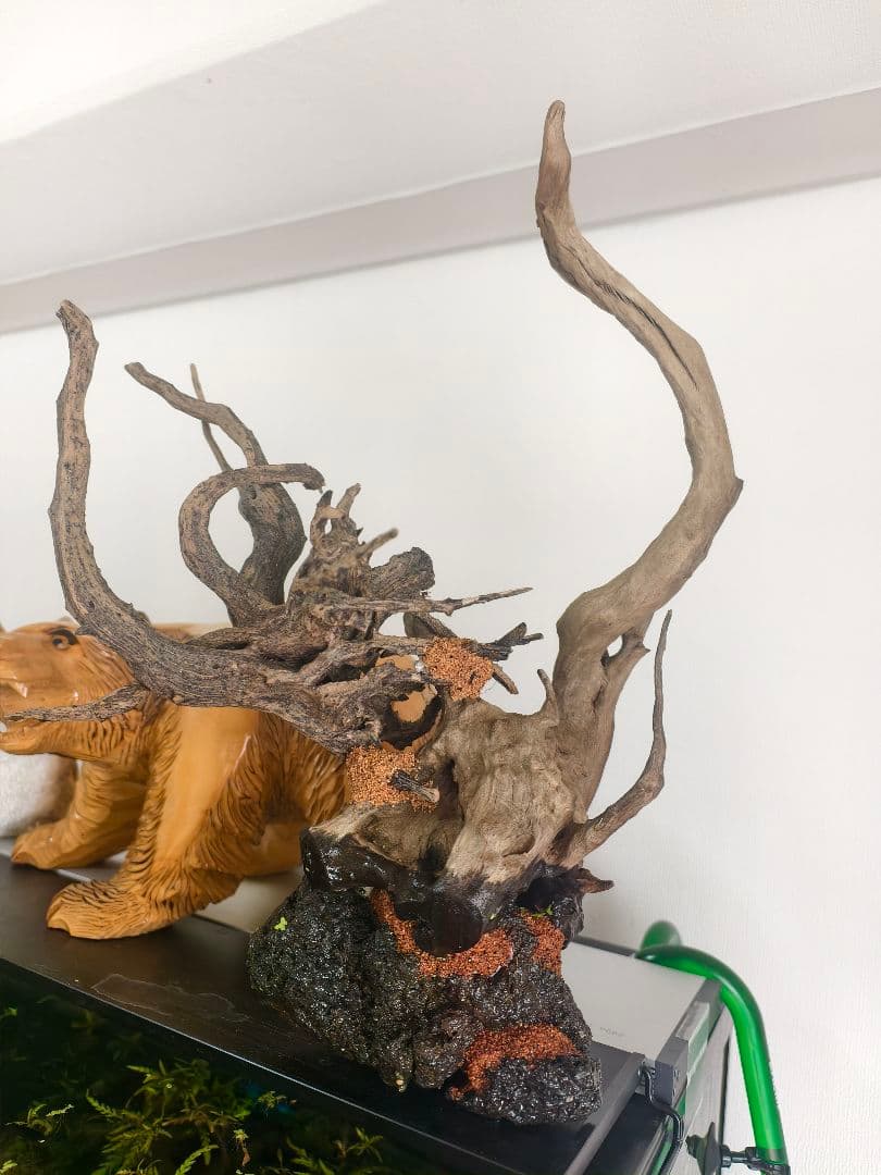 水槽用流木 自然色