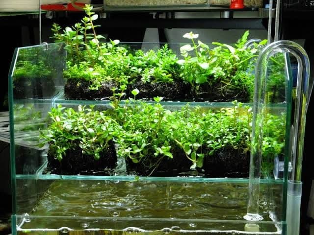 最終値下げ Do!aqua ADA ウォーターフォール 30 水槽