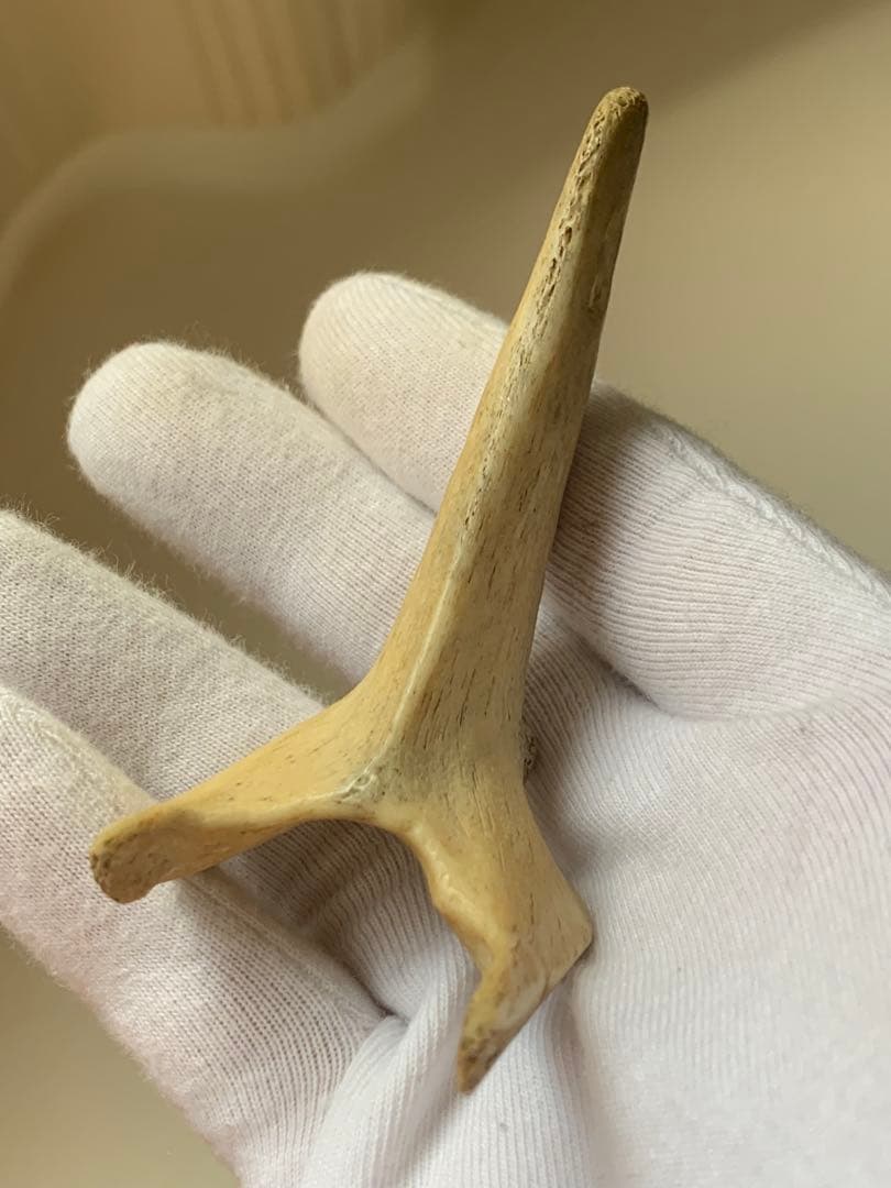 縄文時代　出土　骨角器　骨製首飾り　石器　土器　勾玉　根付　水石　魔除け　弥生