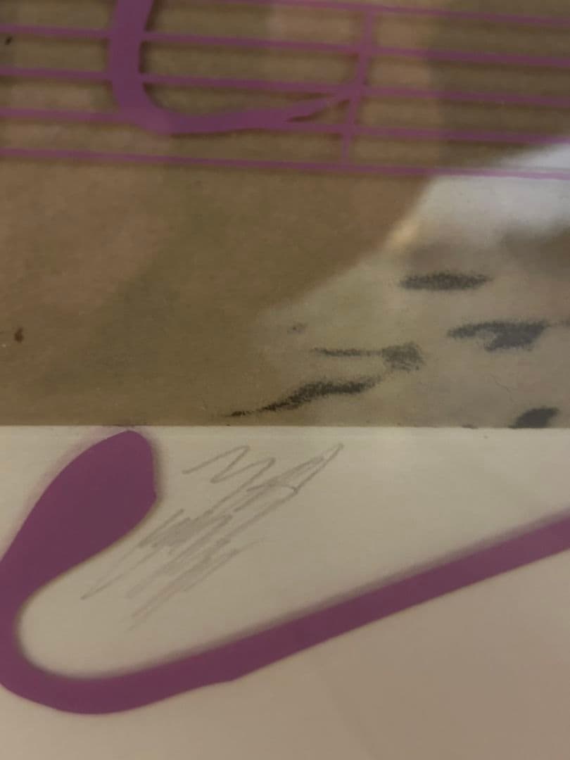 XJAPAN YOSHIKI 限定Forever Love 音楽譜額縁入り