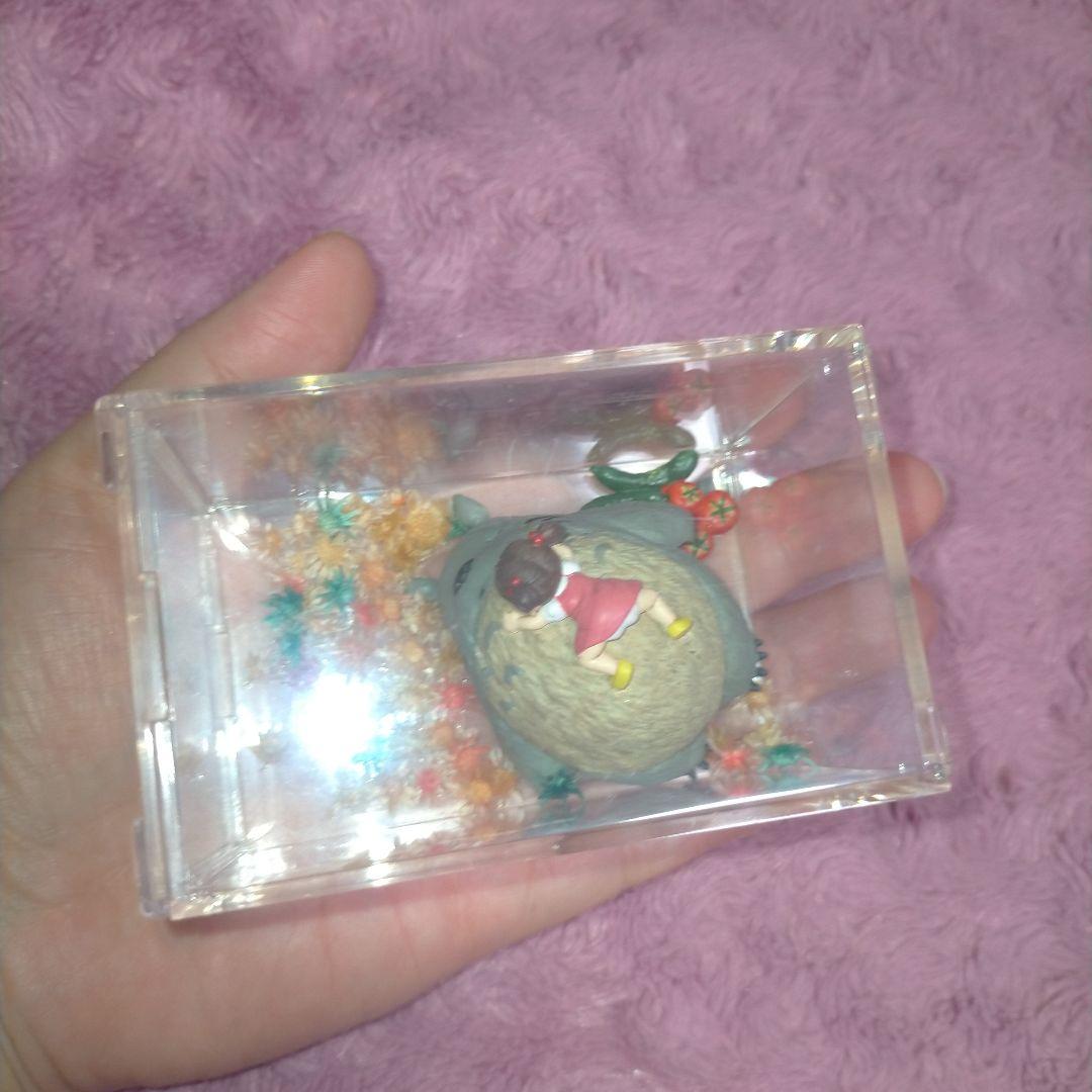 廃盤‼️となりのトトロ トトロ メイちゃん ミニチュアフィギュア 透明ケース付き