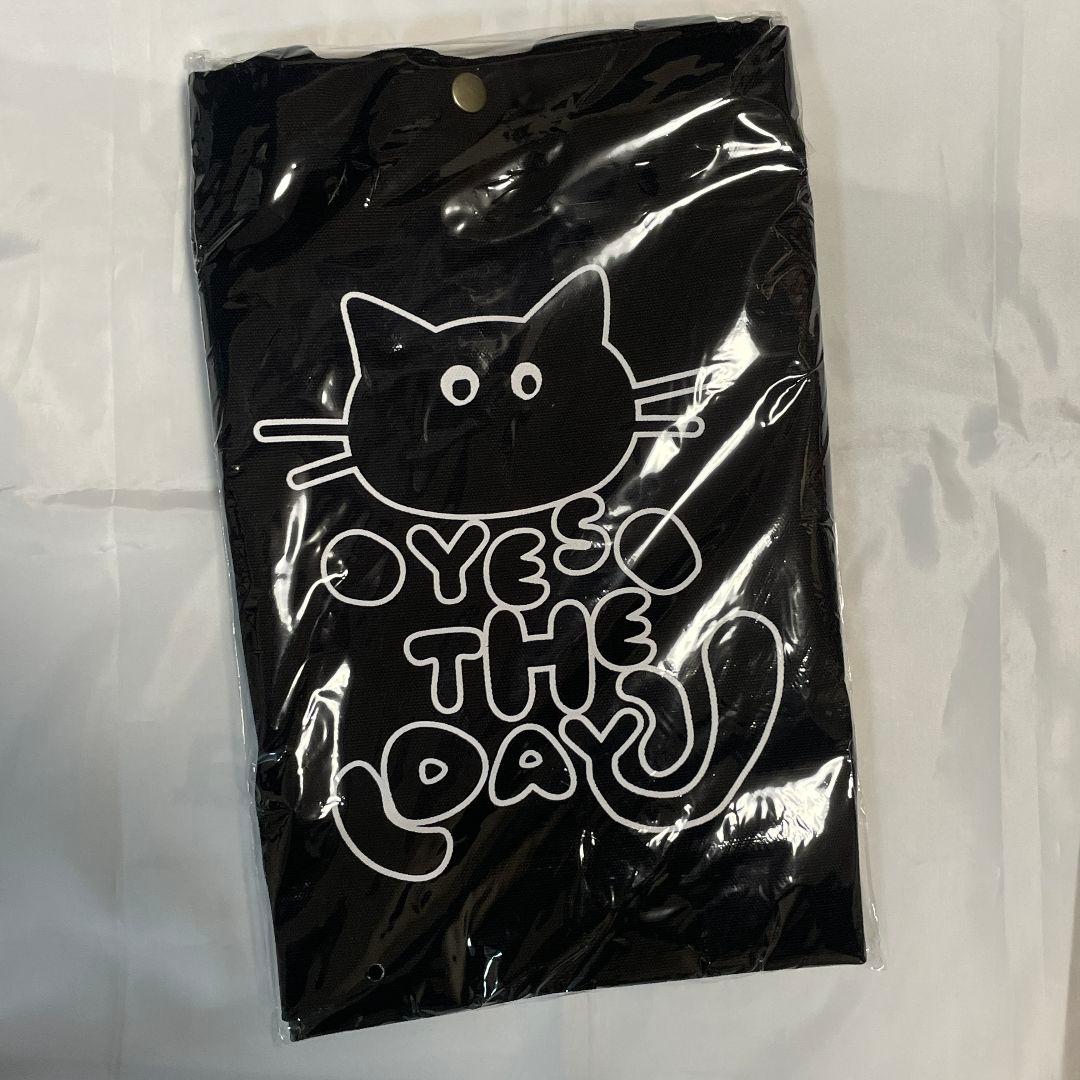 SUPERJUNIOR YESUNG イェソン YESTHEDAY