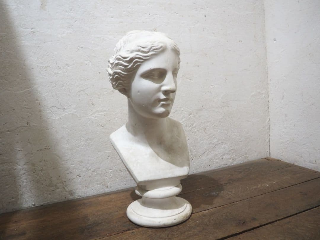 1228 石膏像　ミロのヴィーナス　胸像　オブジェ　デッサン　美術　インテリア