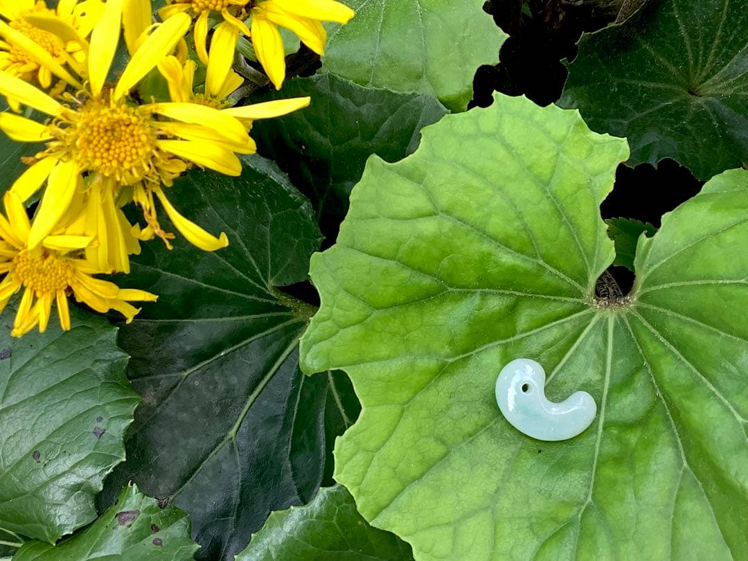 ✳吉祥開運　古代からの縁起良い糸魚川翡翠勾玉　本物ジェダイト‼️ 機械鑑定書付…