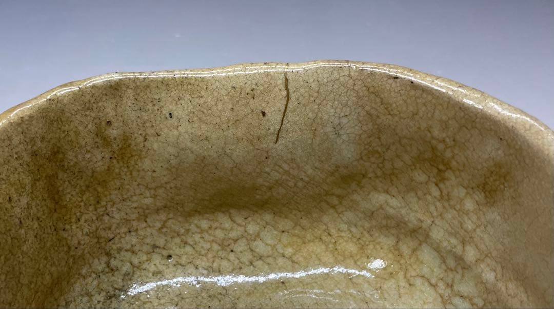 黄瀬戸茶碗　抹茶碗　美濃焼　箱付　C9930b