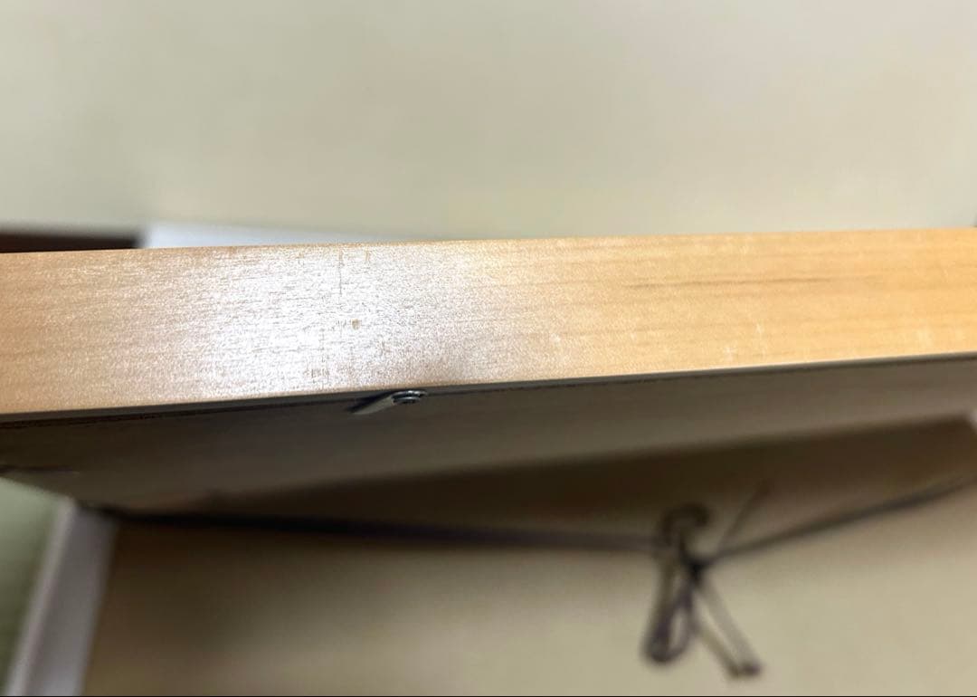 【福地翼先生直筆サイン入り】うえきの法則＋ カラー複製原画