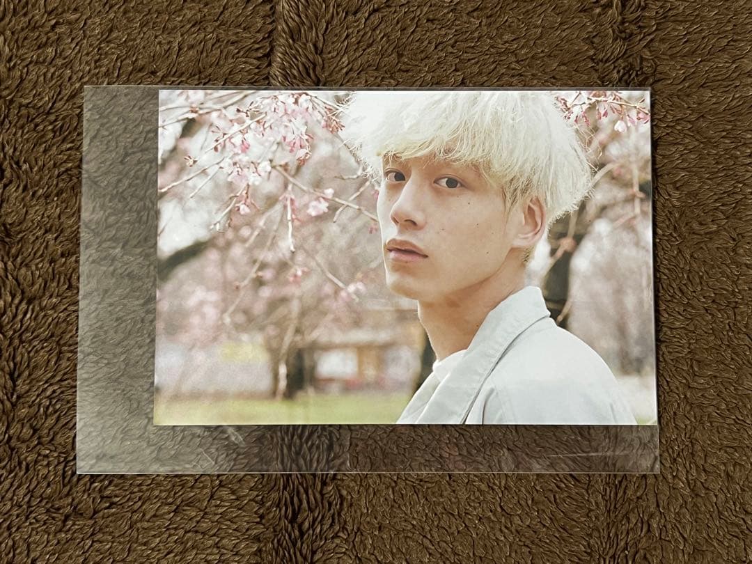 坂口健太郎　非売品　ポストカード　25.6