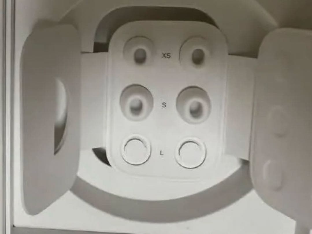 Airpods Pro2 イヤーチップ 箱付き lightning