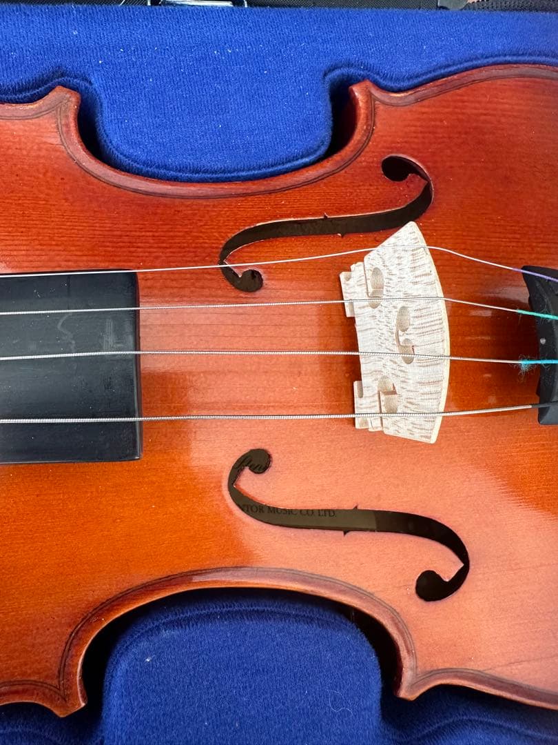 バイオリン 音符シール付き ケース付