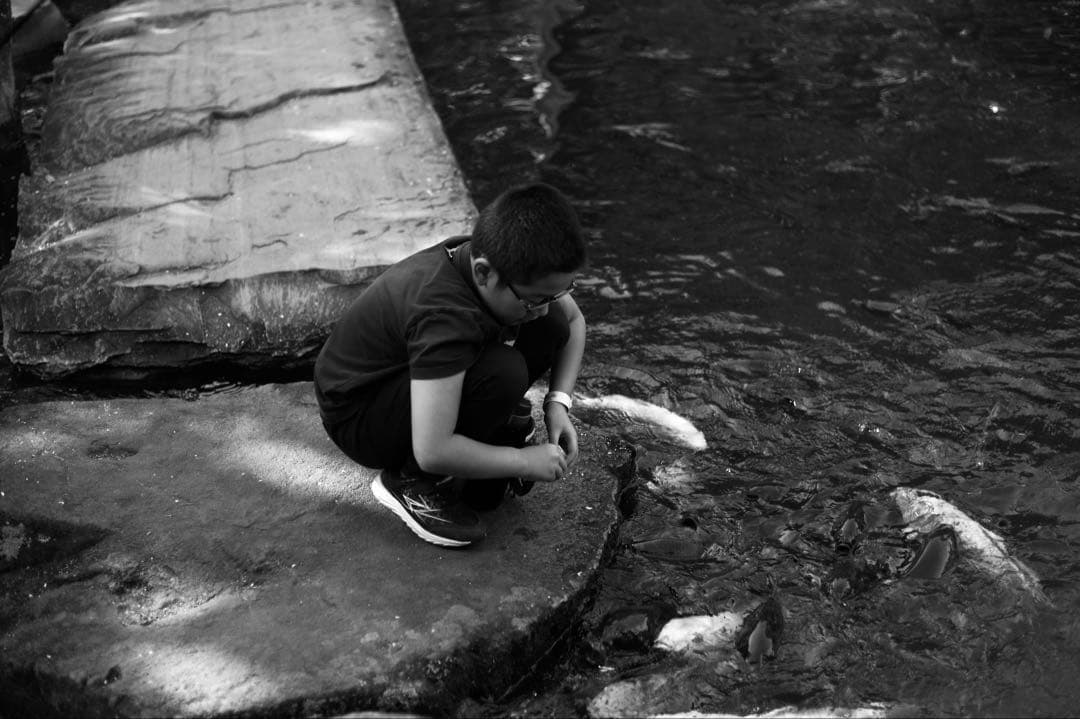 最終値下げ　ライカMモノクローム　CCD ＋ズミクロンレンズセット