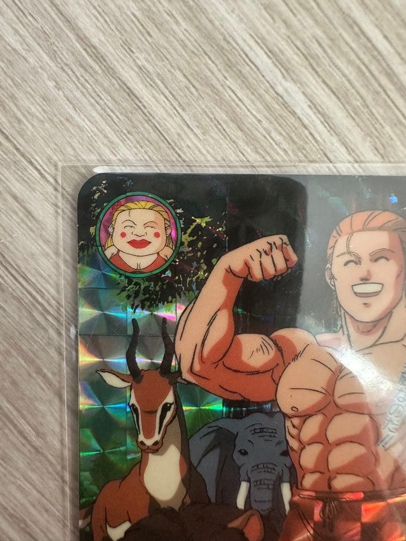 【レア】ジャングルの王者ターちゃん　キラカード