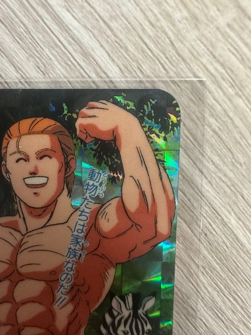 【レア】ジャングルの王者ターちゃん　キラカード