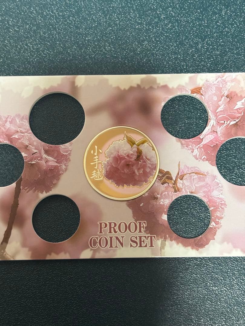 2012 プルーフ貨幣セット　銀メダル　 造幣局　桜の通り抜け　シルバー925