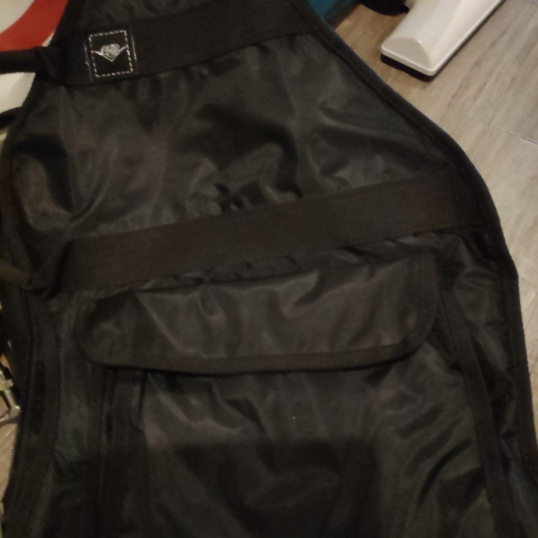 美品　ARIA PROⅡ　エレキベース紫パープルメタリック　ソフトケース付