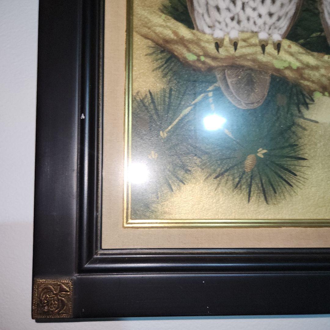 フクロウ　広森耕仁作　絵画