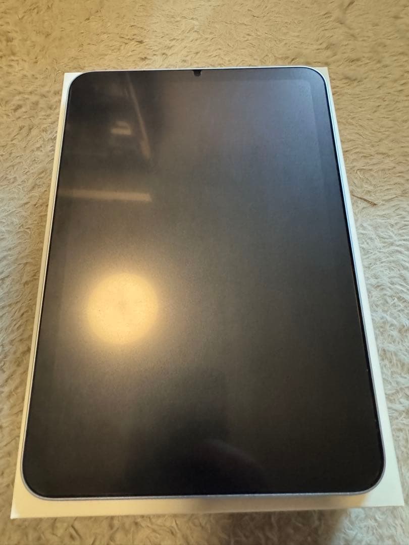 【美品】iPad mini 7世代 付属品未使用　箱付　128gb Wifi